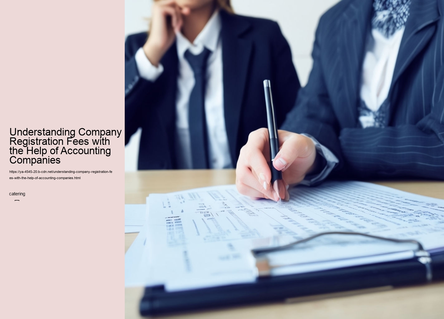 Understanding Company Registration Fees with the Help of Accounting Companies